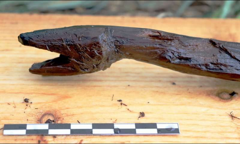 snake carving finland excavation