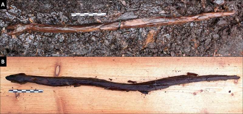 Click to enlarge snake carving finland excavation