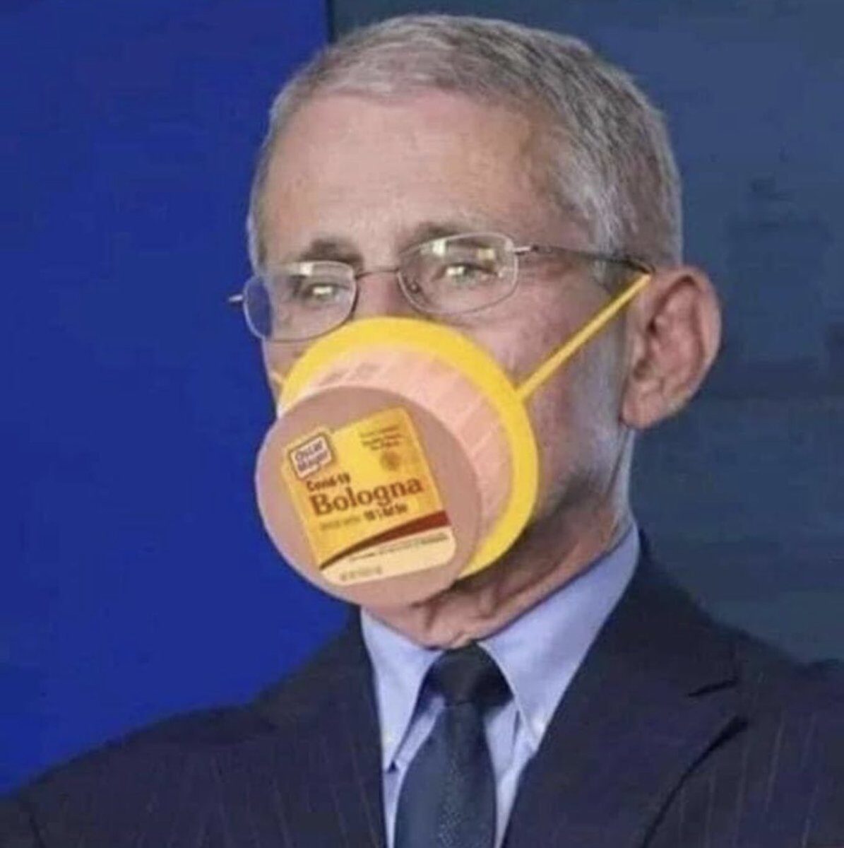 fauci bologna