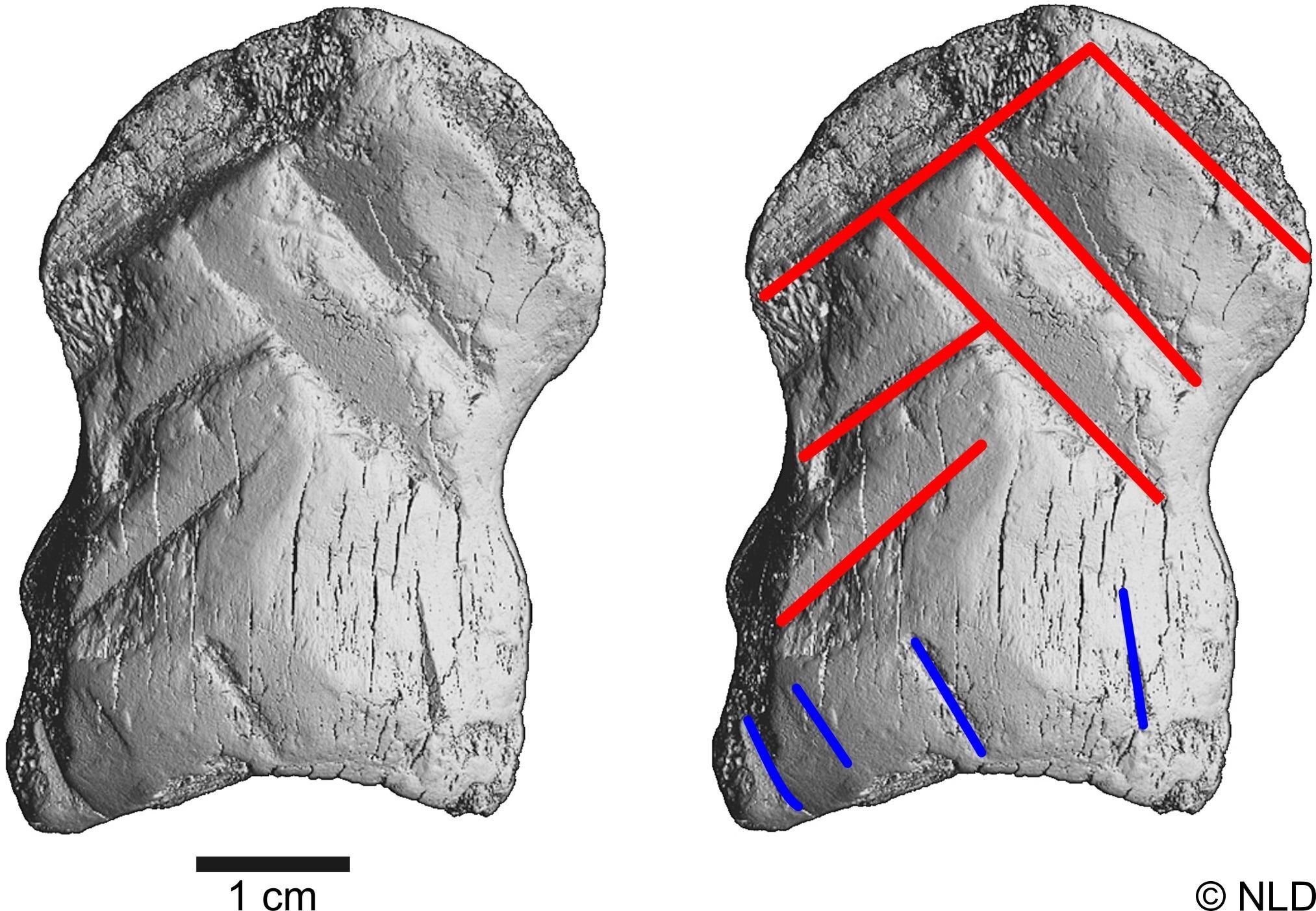 Click to enlarge Ancient Carving