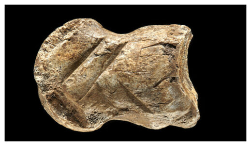 The Neanderthal bone carving.