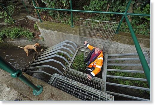 Noah Donohoe storm drain