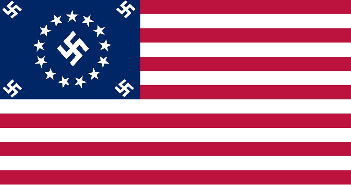 Nazi US Flag
