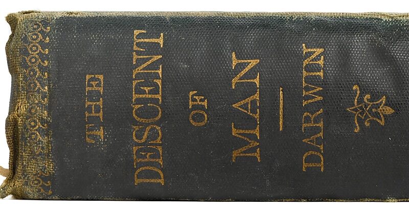 Click to enlarge darwin descent of man book spine