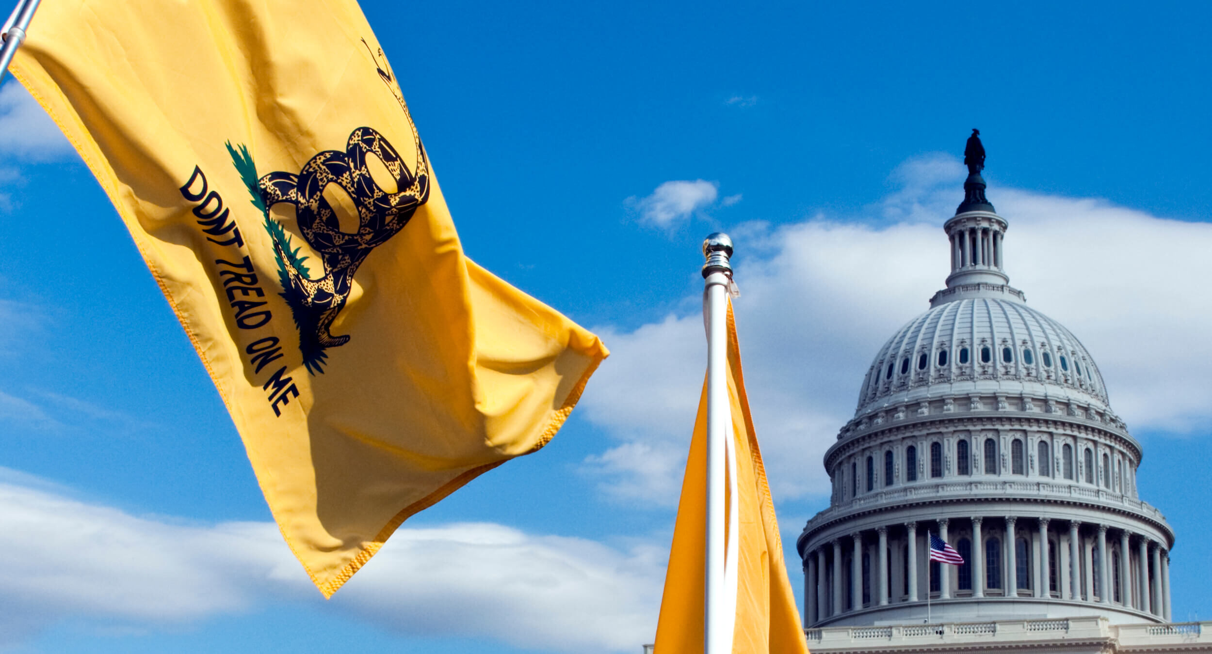 tread on me flag capitol