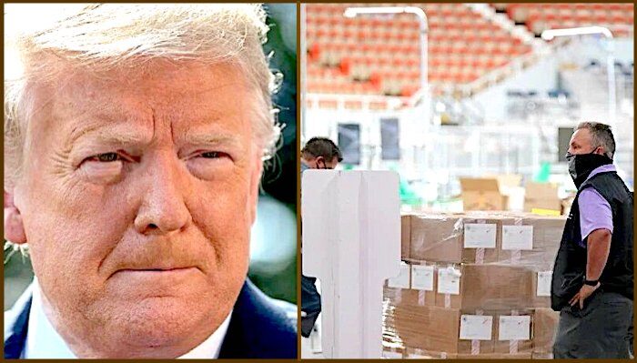 Click to enlarge Trump/Ballot check
