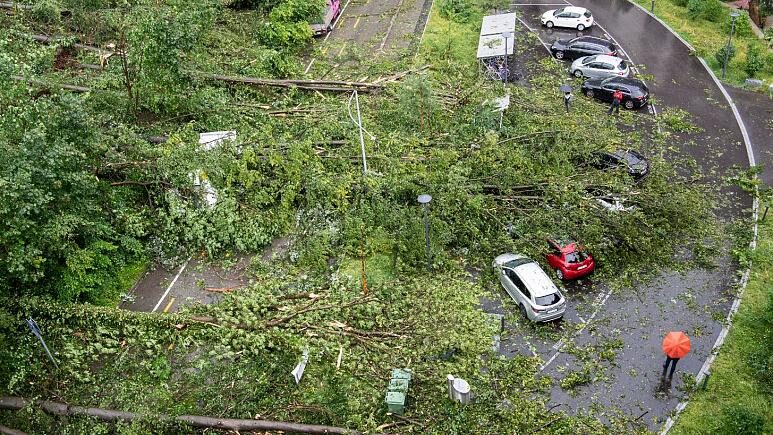 Fallen trees and broken branches have buried and heavily damaged cars near Zurich