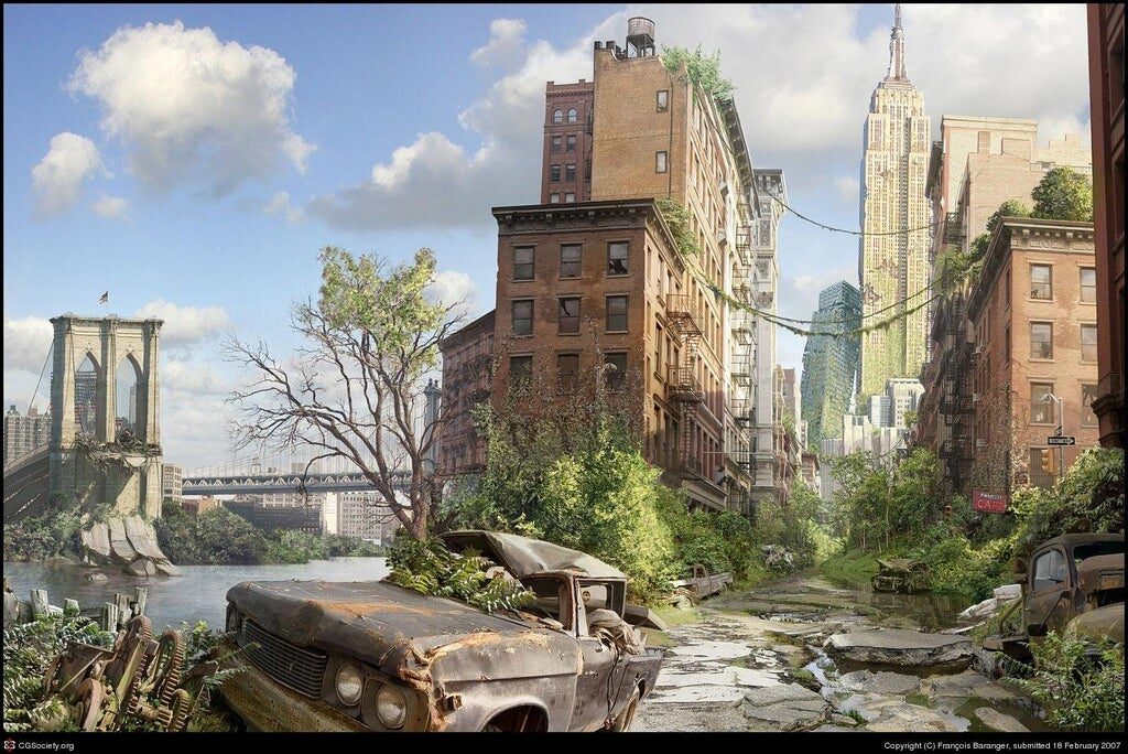 Collapse Society