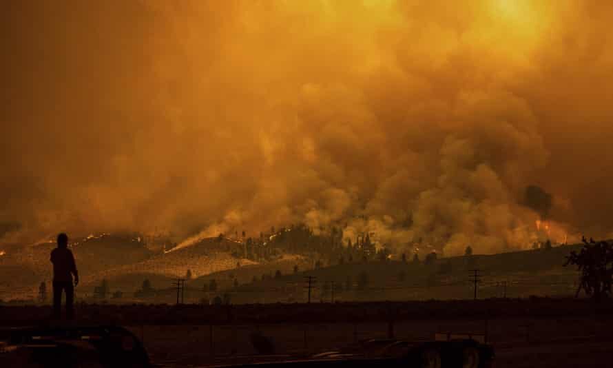 Click to enlarge A truck driver who hauls fire equipment watches as the Sugar fire, part of the Beckwourth Complex fire, burns in Doyle, California, on Saturday.