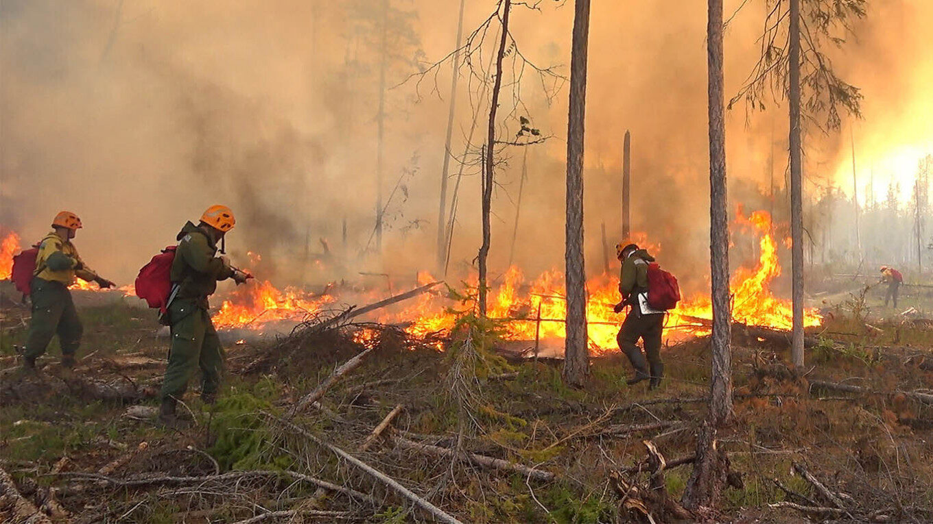 The fires have been fueled by abnormally high temperatures, historic drought and strong winds.