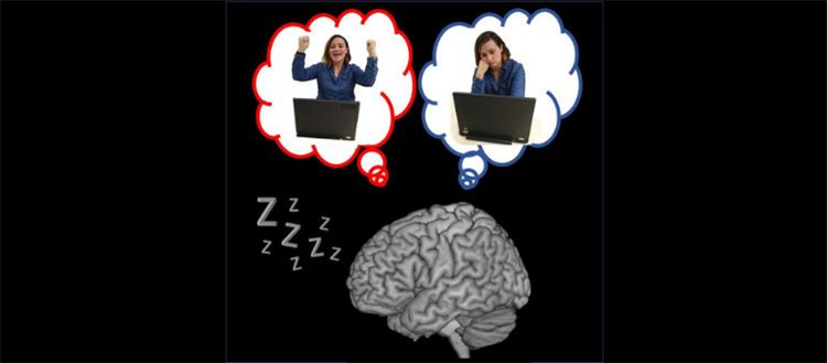 Click to enlarge Brain and Sleep