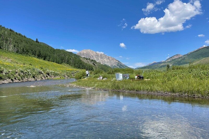 Borgs Colorado