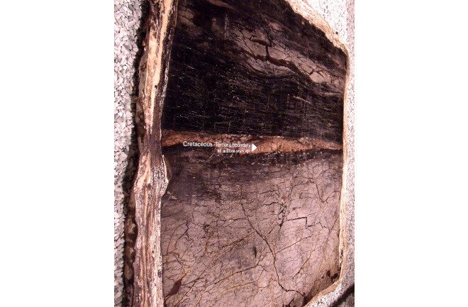 Click to enlarge The Cretaceous-Tertiary boundary