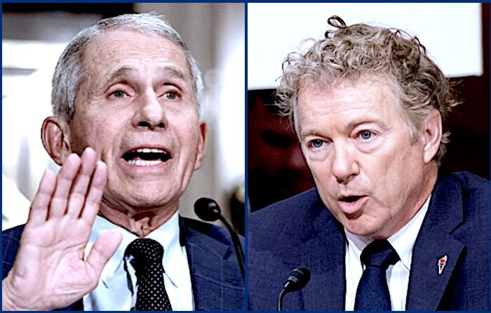 Fauci/Paul