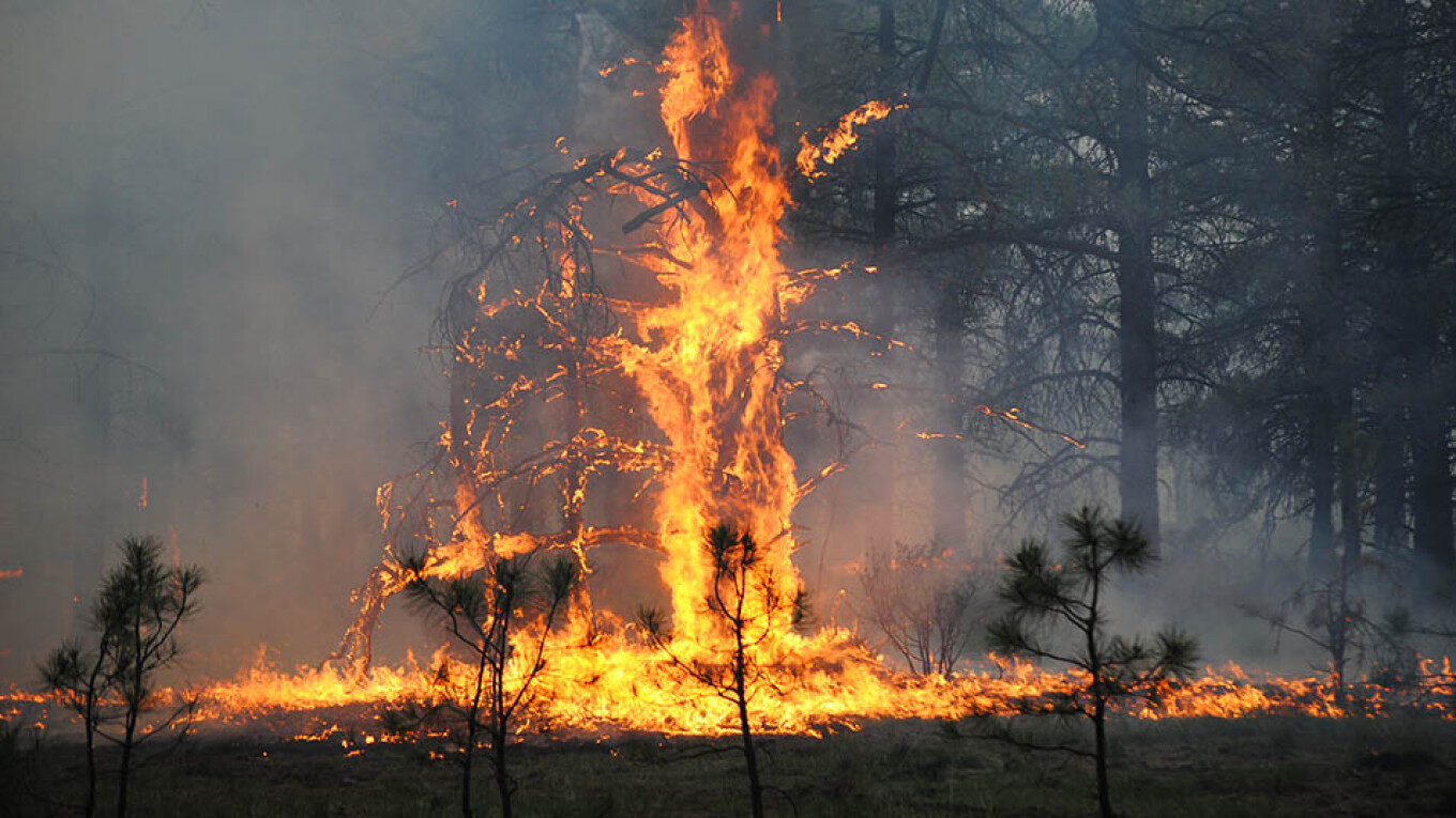 wildfire Russia's Yakutia region