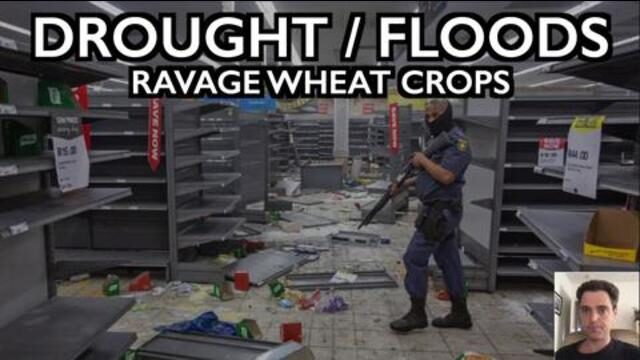 Click to enlarge food
