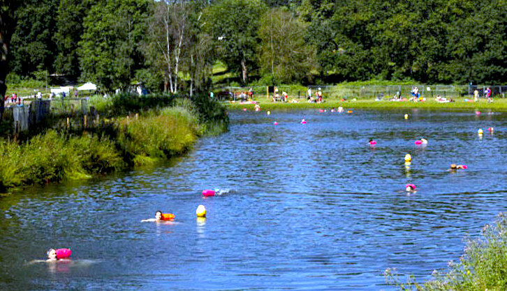 Swimmers Lake