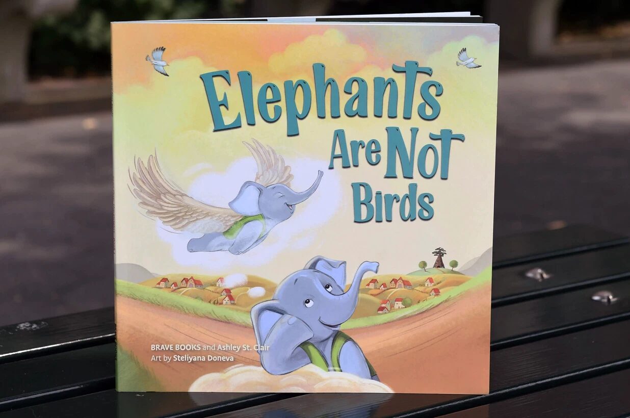 brave books elephants are not birds brave books elephants are not birds