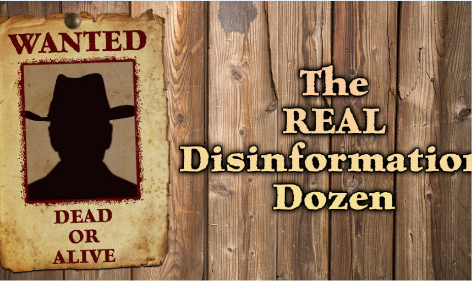 Disinfo Dozen
