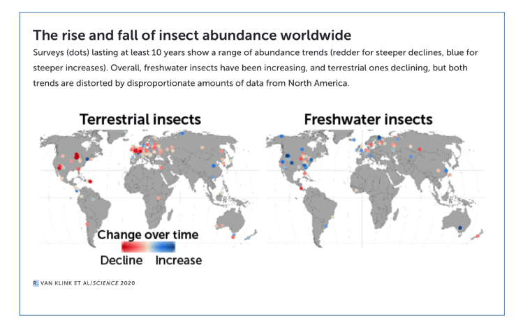 Click to enlarge insect population map 2