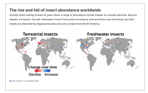 insect population map 2
