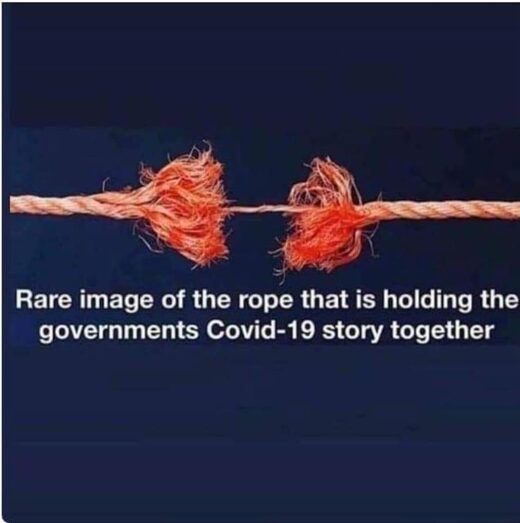 covid meme 7