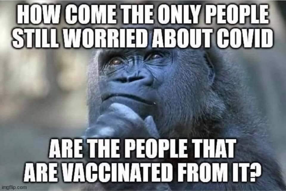 Click to enlarge covid meme 16
