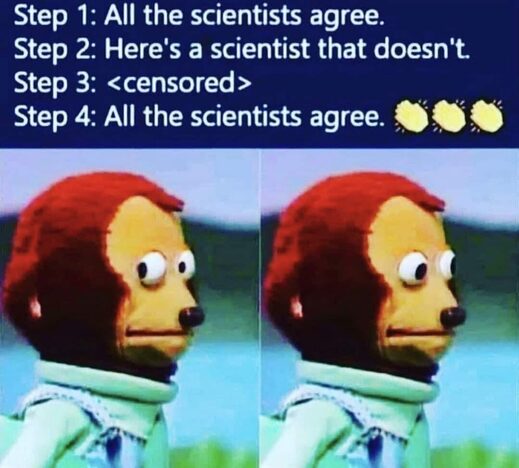 covid meme 17