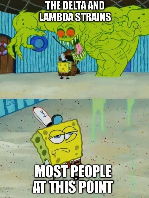 covid meme 23