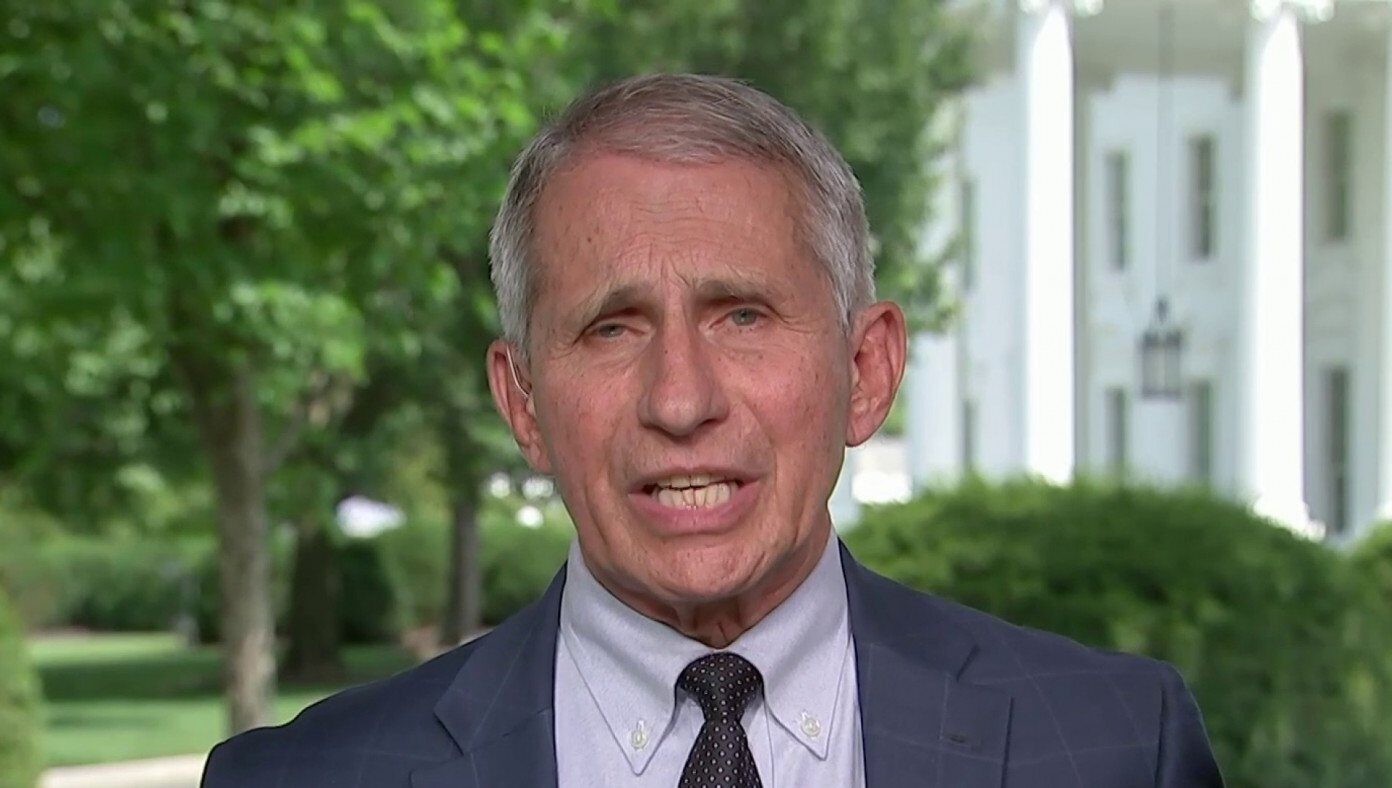 tony fauci