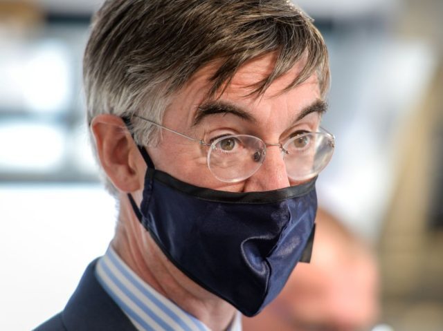 moggfather jacob rees-mogg