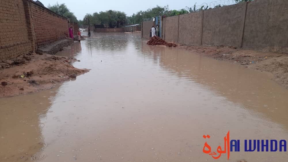 flood