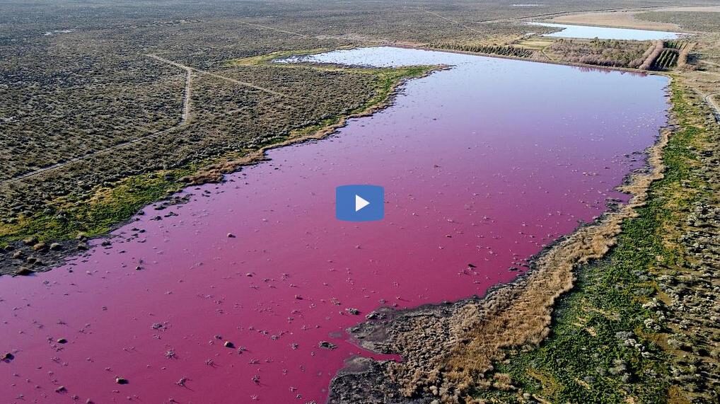 Click to enlarge Argentina pink lagoon