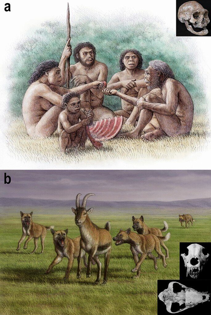 Click to enlarge dog ancient human