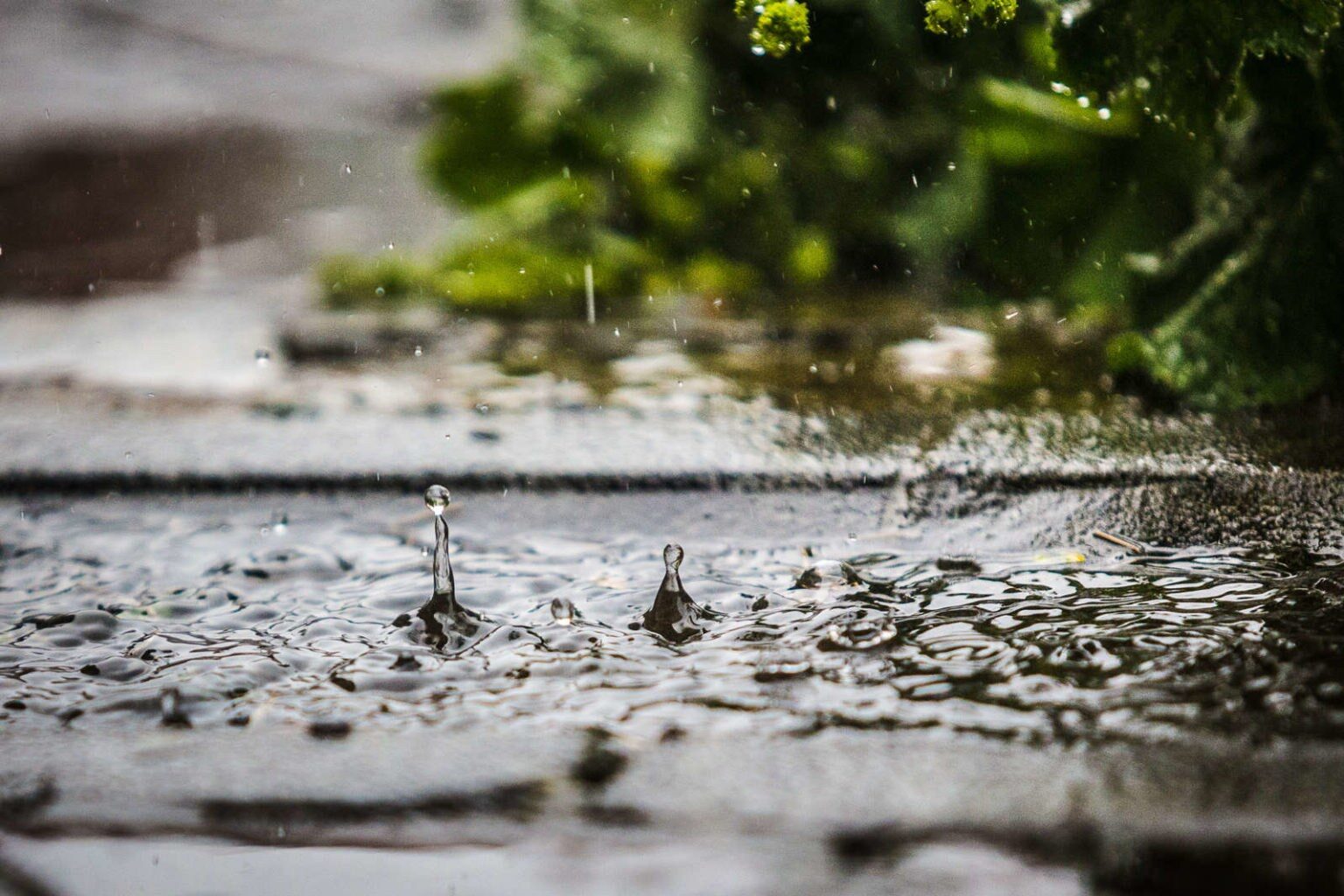 Raindrops falling