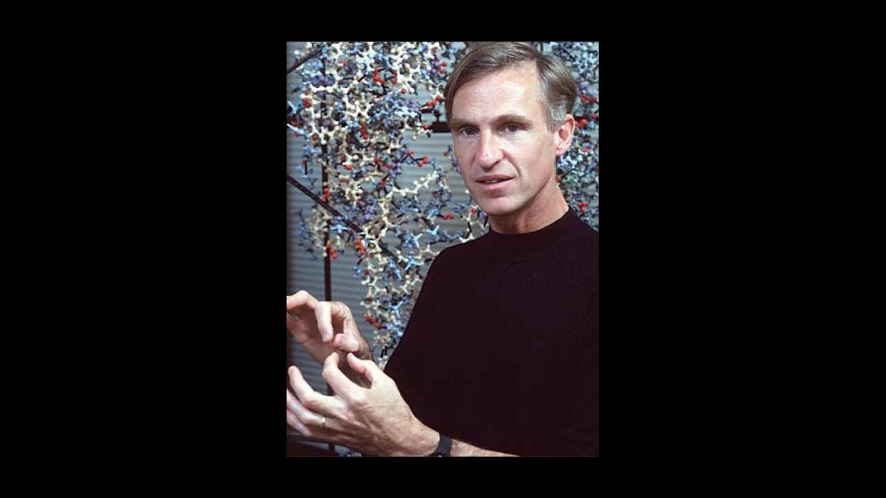 don wiley