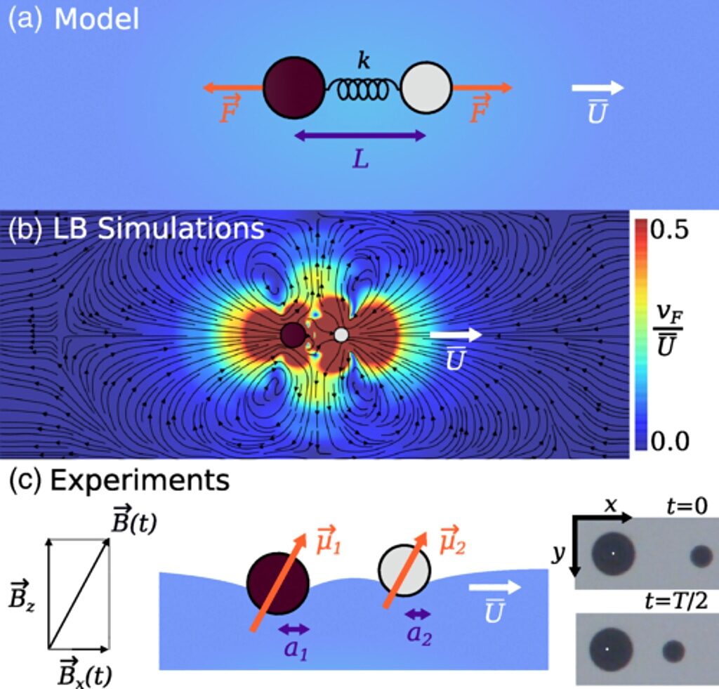 Click to enlarge modeling propulsion in viscous environment