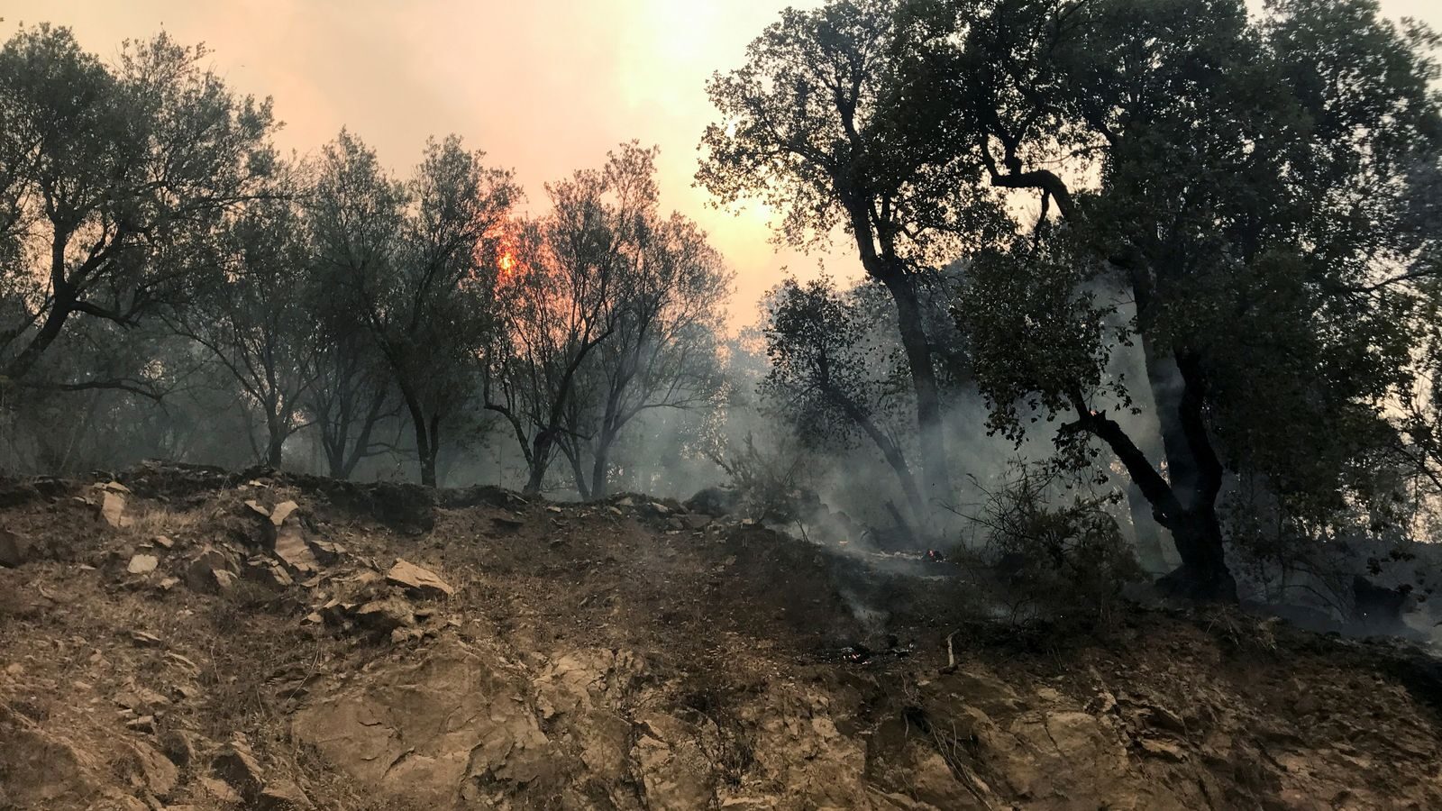 Click to enlarge Smoke rises from a forest fire in the mountainous Tizi Ouzou province, east of the Algerian capital, Algiers