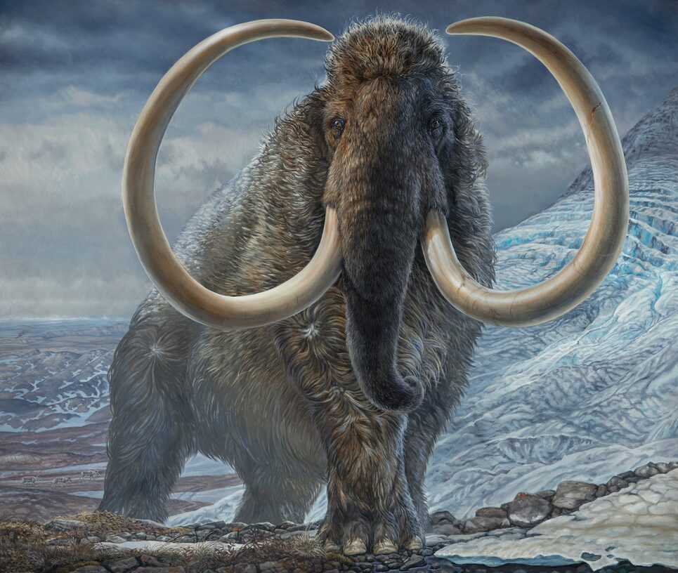 mammoth