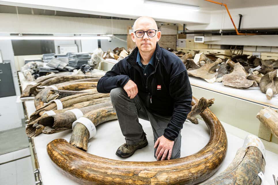 tusks