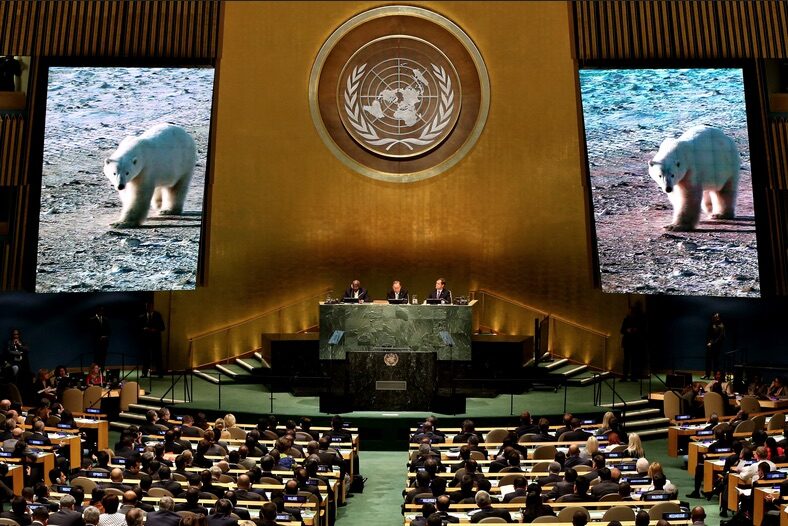 Click to enlarge United Nations Climate Summit 2014