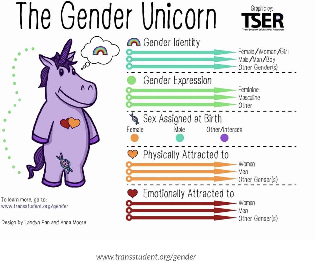 Click to enlarge gender unicorn
