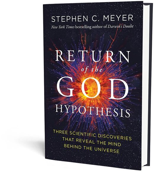 Click to enlarge return god hypothesis