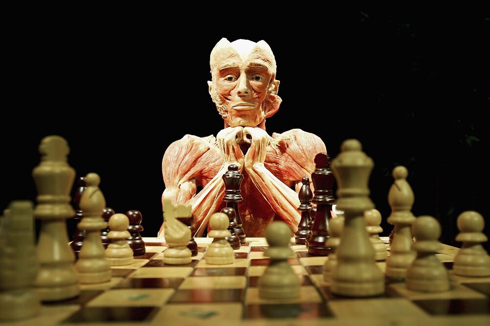 playing chess