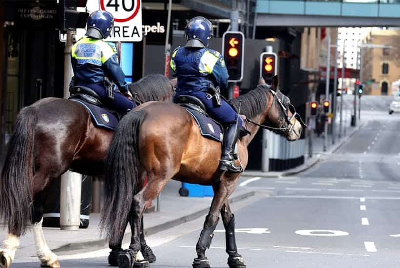 Click to enlarge police on horses