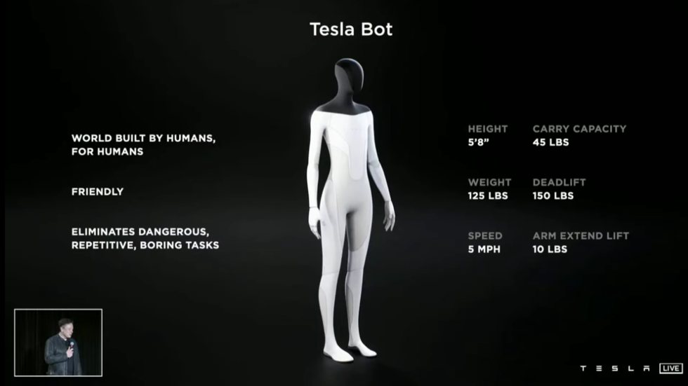 Tesla Bot