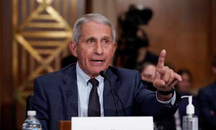 fauci hearing