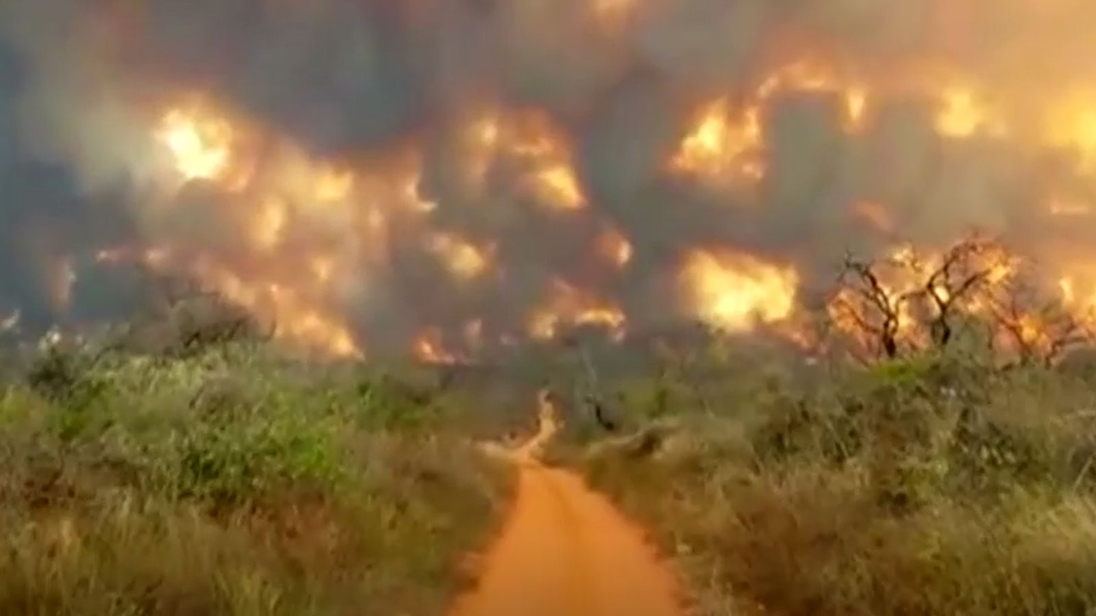 An area equivalent to twice the size of greater London has already burned in the Santa Cruz region