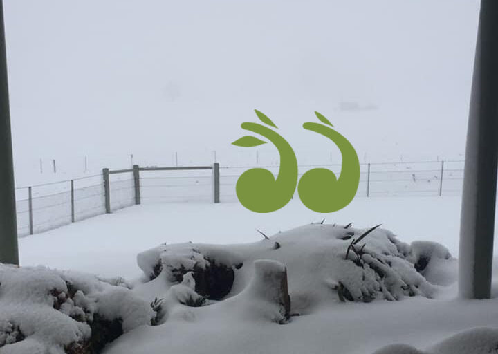 The cold front brought blizzard conditions to the Barrington overnight.