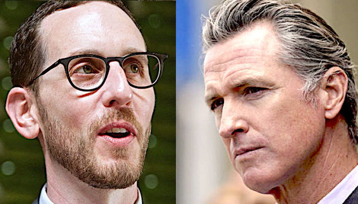 Click to enlarge Wiener/Newsom
